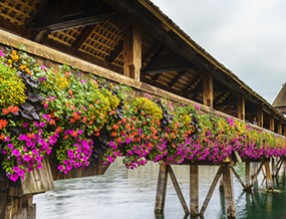 憑欄小憩醉好景，護(hù)欄綠化為城市之美錦上添花