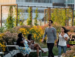 健康城市景觀，促進(jìn)社會(huì)公共健康發(fā)展