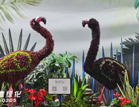 CLG2020上海園林展開幕，這些亮點讓人耳目一新！