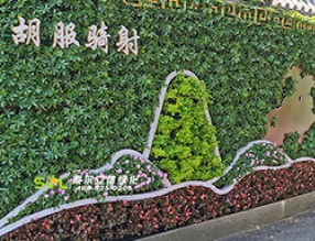 “墻上花園”亮相邯鄲，突顯古城底色