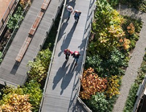 干貨｜屋頂花園營(yíng)造大全