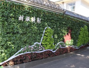 邯鄲首個(gè)“墻上花園”亮相，不但好看，還能降噪、除塵！