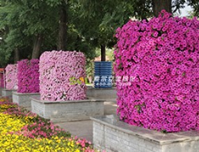 行道樹綠化景觀提升解決方案