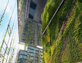 垂直綠化為奢華商業住宅背書