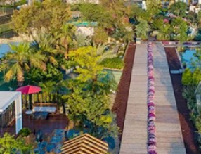 芳菲四月，擁抱花園經(jīng)濟(jì)的春天