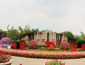 “梳妝”一新迎國慶，綻放城市魅力