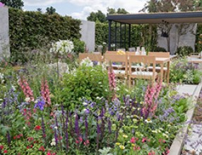 “花園式”工廠 景觀提升營造要點——立體綠化的應(yīng)用