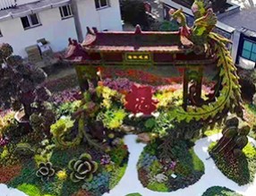 美翻了！立體花壇扮靚冬日觀瀾！