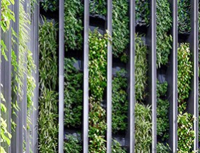 干貨：立體綠化在綠色建筑星級(jí)評(píng)價(jià)中的作用