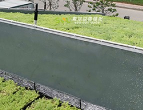 老舊小區(qū)改造中，立體綠化景觀提升要點(diǎn)