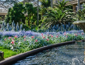 生態(tài)餐廳景觀提升解決方案