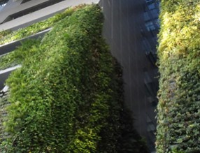 立體綠化，助力實(shí)現(xiàn)“碳中和”