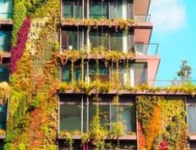 立體綠化未來(lái)發(fā)展趨勢(shì)解析