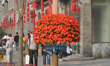 街道節點景觀提升-燈桿綠化