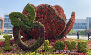 立體花壇《幸?；ㄩ_》