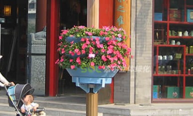 街道節點景觀提升-燈桿綠化