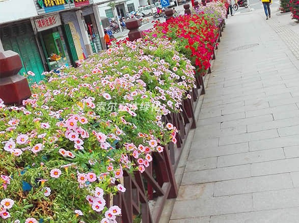 海南瓊中街道景觀提升