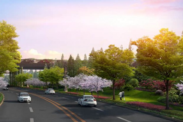 植被設計效果圖