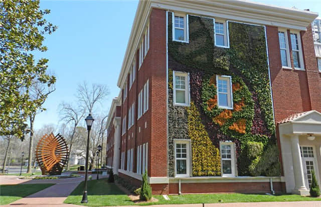 夏洛特皇后大學植物墻 (4).jpg