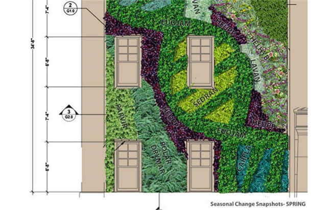夏洛特皇后大學植物墻 (7).jpg