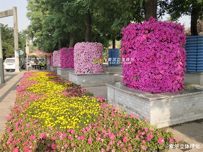 01索爾行道樹綠化 (4).jpg